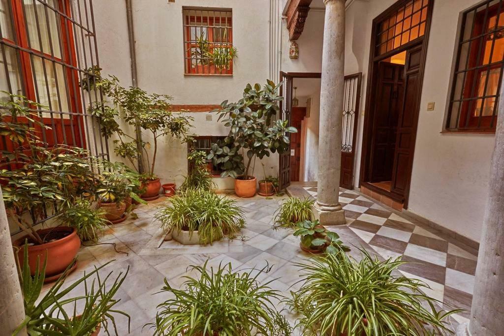Apartamento Spacious Sunny And Quiet Albayzin